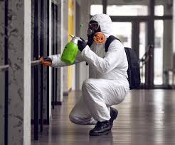 Best Mold Prevention Services  in USA